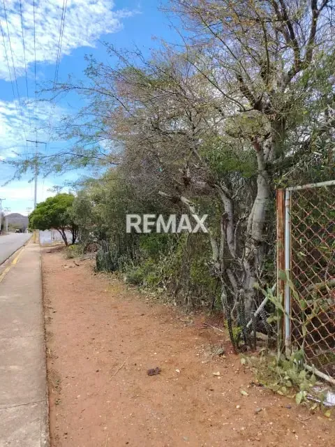 En Venta terreno residencial amplio en Pedro González, Isla de Margarita. - 7
