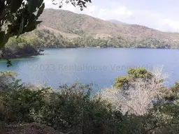 View 7