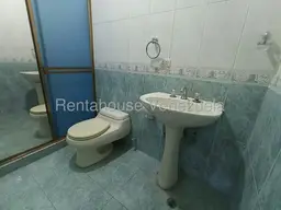 Vista 36
