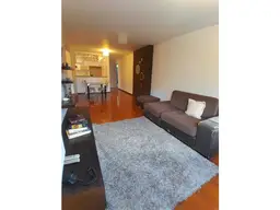 Vista 5