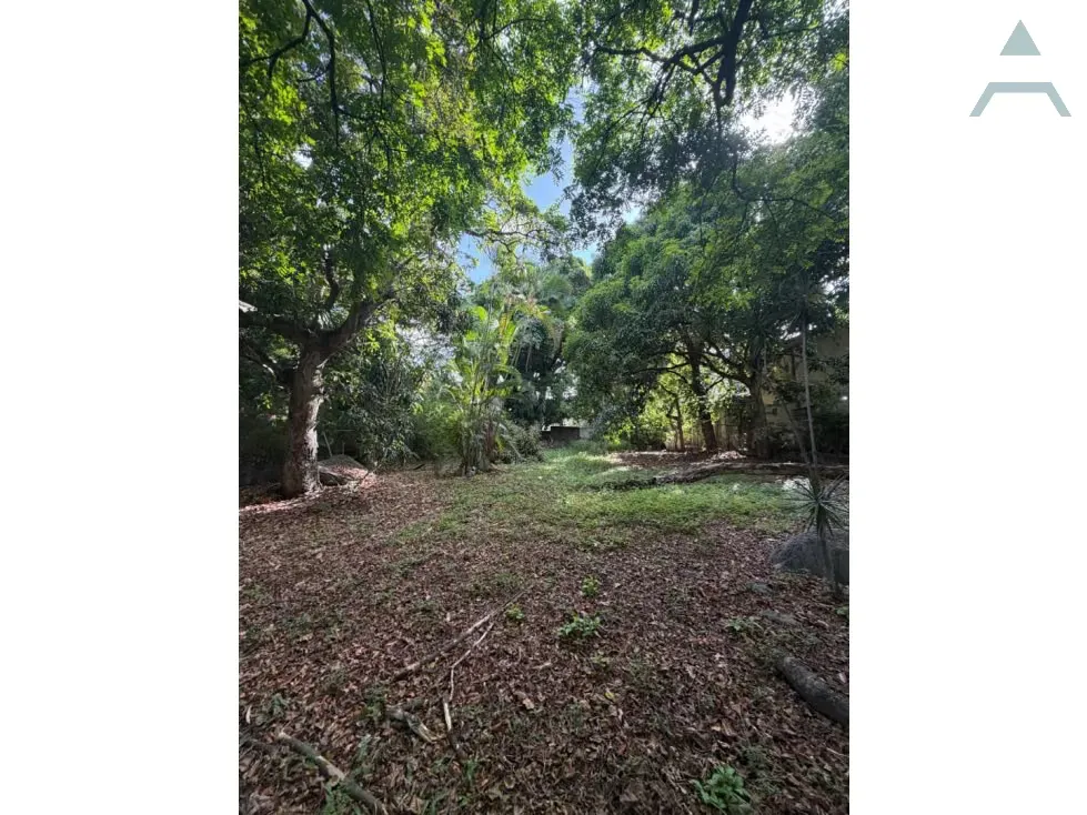 Se vende Terreno 1.800m² La Castellana - 3