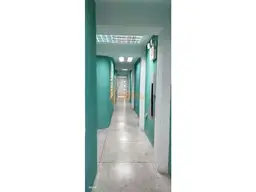 Vista 19
