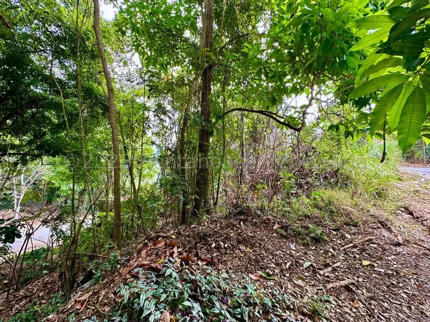 Terreno (Residencial) en Venta en Miranda, Distrito Metropolitano - 3