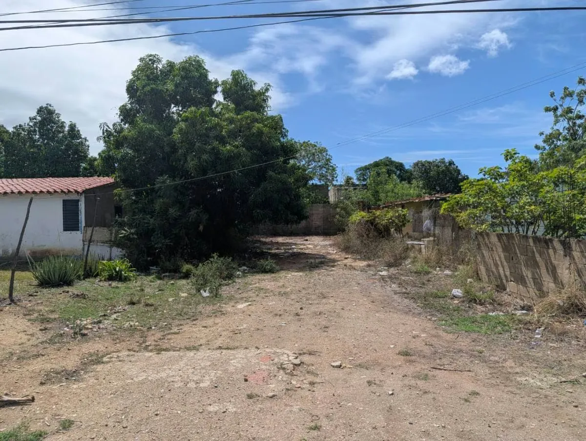 Excelente Parcela en venta en sector Conuco Viejo - 4