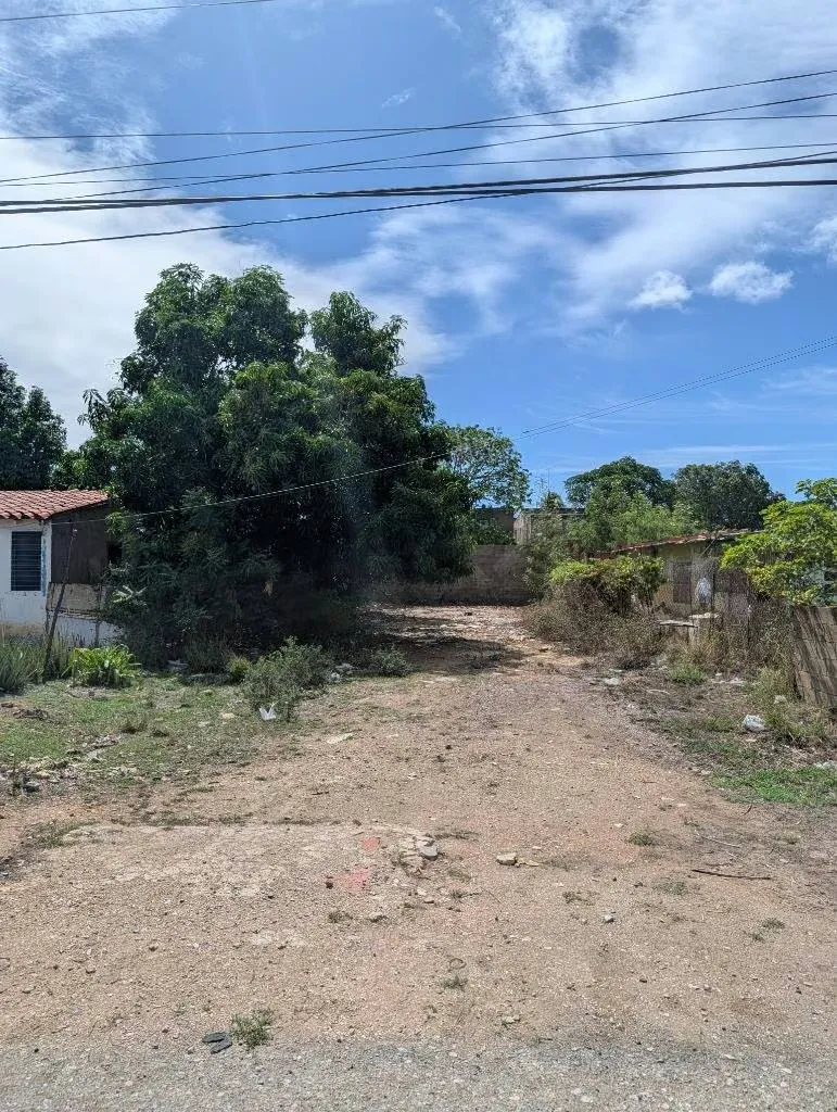 Excelente Parcela en venta en sector Conuco Viejo - 7