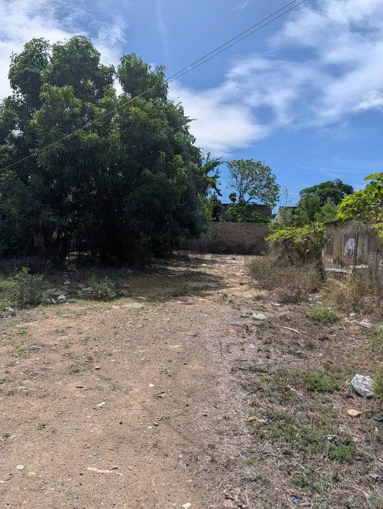 Excelente Parcela en venta en sector Conuco Viejo - 8
