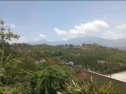 Vista 12