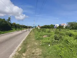 View 1