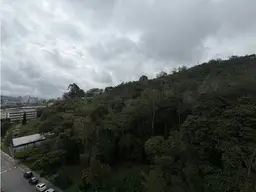 Vista 12