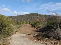 Vista 12