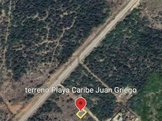 Terreno de uso Turístico Habitacional y Recreacional. - 16