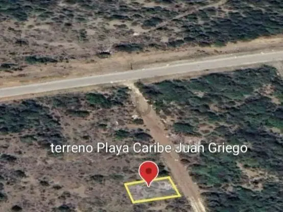 Terreno de uso Turístico Habitacional y Recreacional. - 19