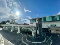 Vista 6