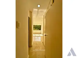 Vista 19