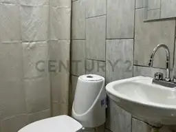 Vista 9