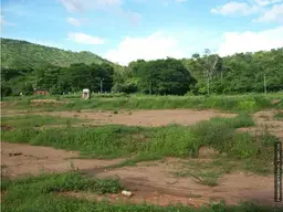 Vista 1