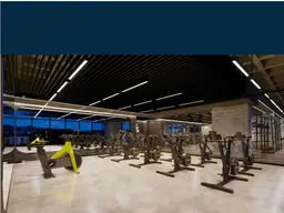 Vista 16