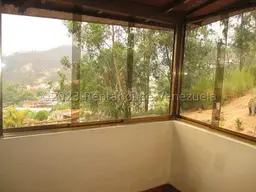 Vista 29