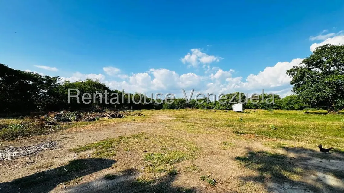 Terreno (Comercial) en Venta en Centro Palo Negro, Aragua - 5