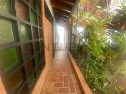 Vista 26