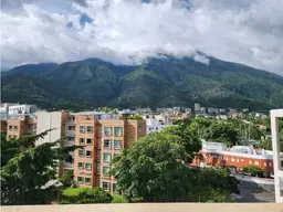 Vista 31