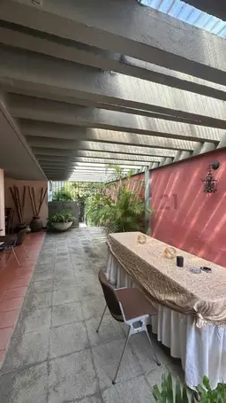 Vista 19
