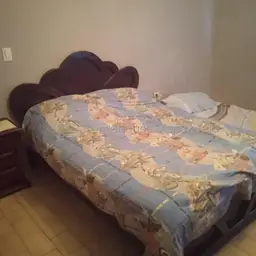 Vista 51