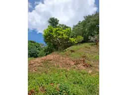 Vista 45