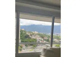 Vista 12