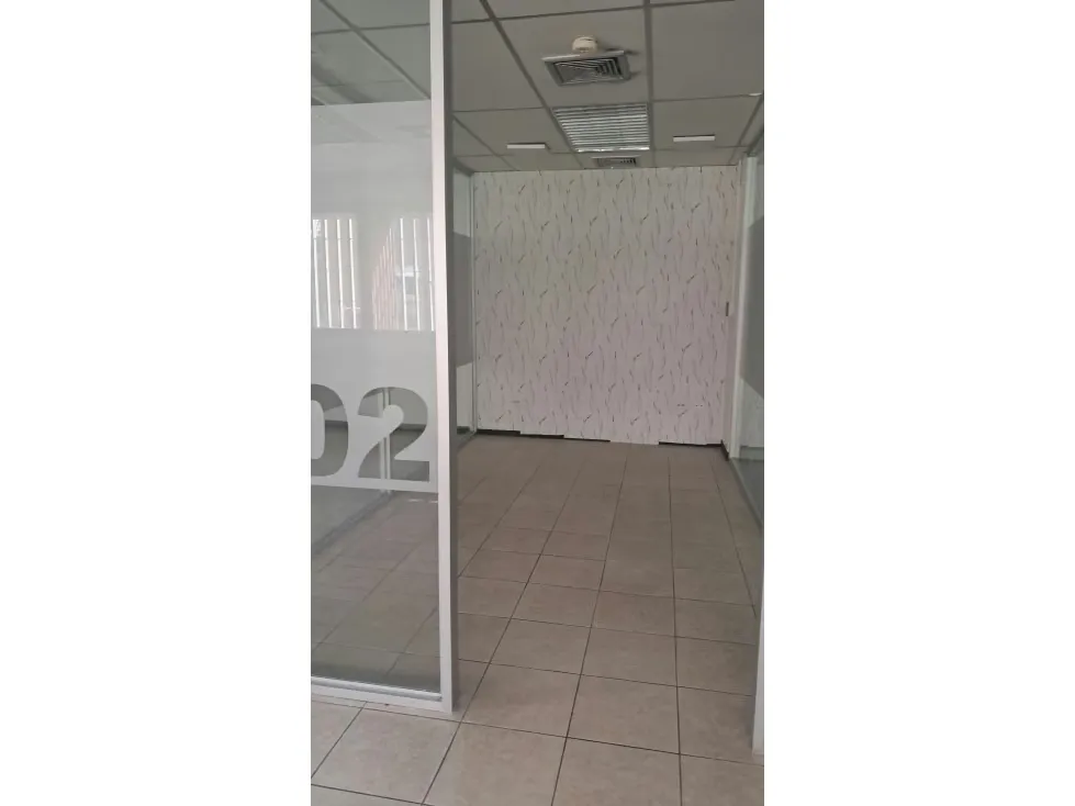 Alquilo oficina c/ terraza 150m2 Los Palos Grandes 4431 - 4