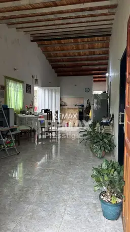 Vista 3