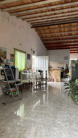 Vista 4