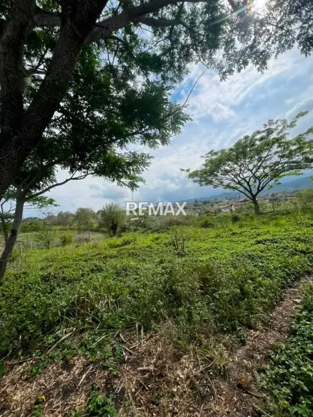 PARCELA EN VENTA en el Valle parte Baja, Capacho Nuevo.