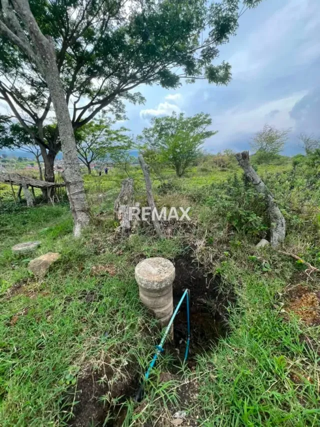 PARCELA EN VENTA en el Valle parte Baja, Capacho Nuevo. - 2