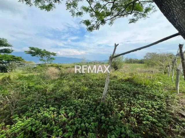 PARCELA EN VENTA en el Valle parte Baja, Capacho Nuevo. - 3