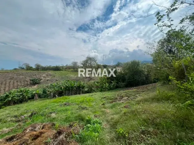 PARCELA EN VENTA en el Valle parte Baja, Capacho Nuevo. - 4