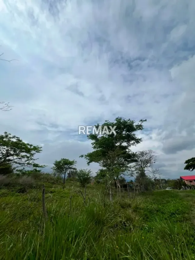 PARCELA EN VENTA en el Valle parte Baja, Capacho Nuevo. - 5