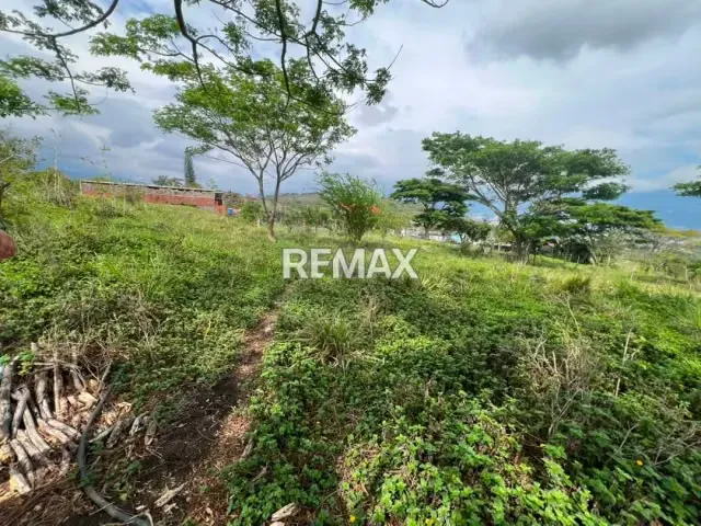 PARCELA EN VENTA en el Valle parte Baja, Capacho Nuevo. - 7