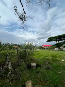 View 8