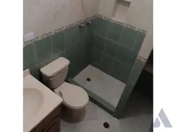 Vista 15