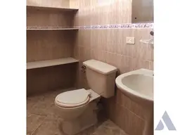 Vista 16