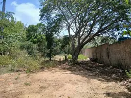 Vista 5