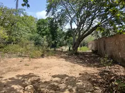 Vista 7