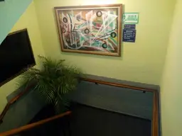 View 19