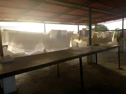 View 30