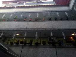View 5