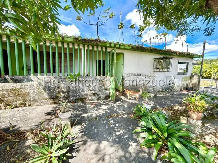 Comercial (Local Comercial) en Venta en Bruzual, Yaracuy - 21