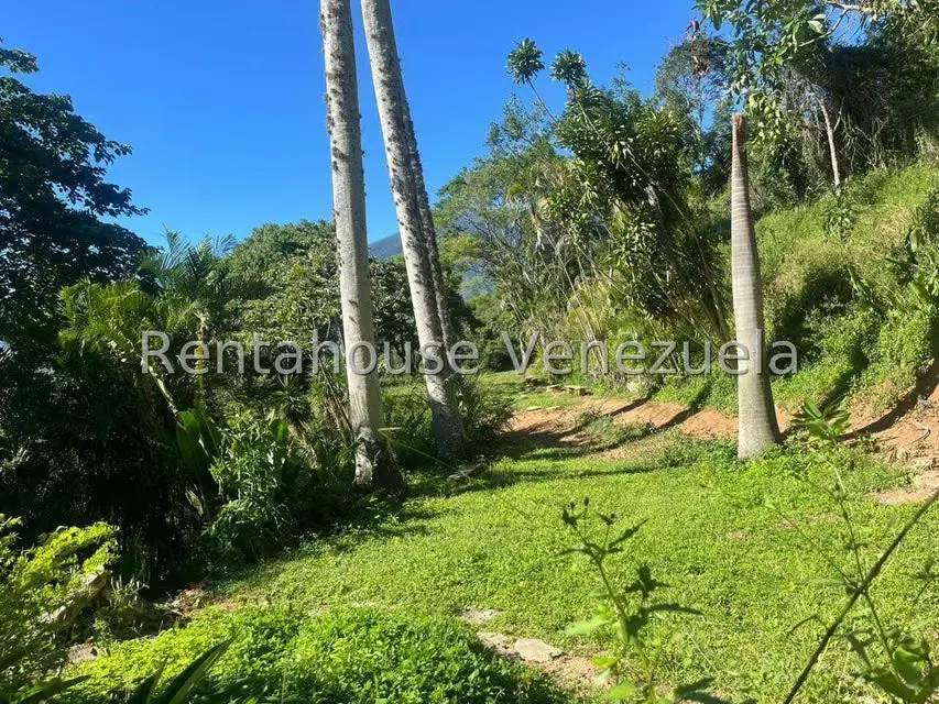 Apartamento (1 Nivel) en Venta en San Roman, Distrito Metropolitano - 37