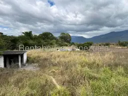 View 10