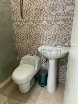 Vista 5